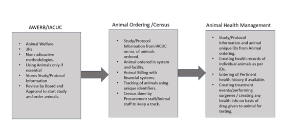 Rethinking Animal Management: A Move Towards Technological Innovation
