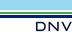 DNVS Logo 
